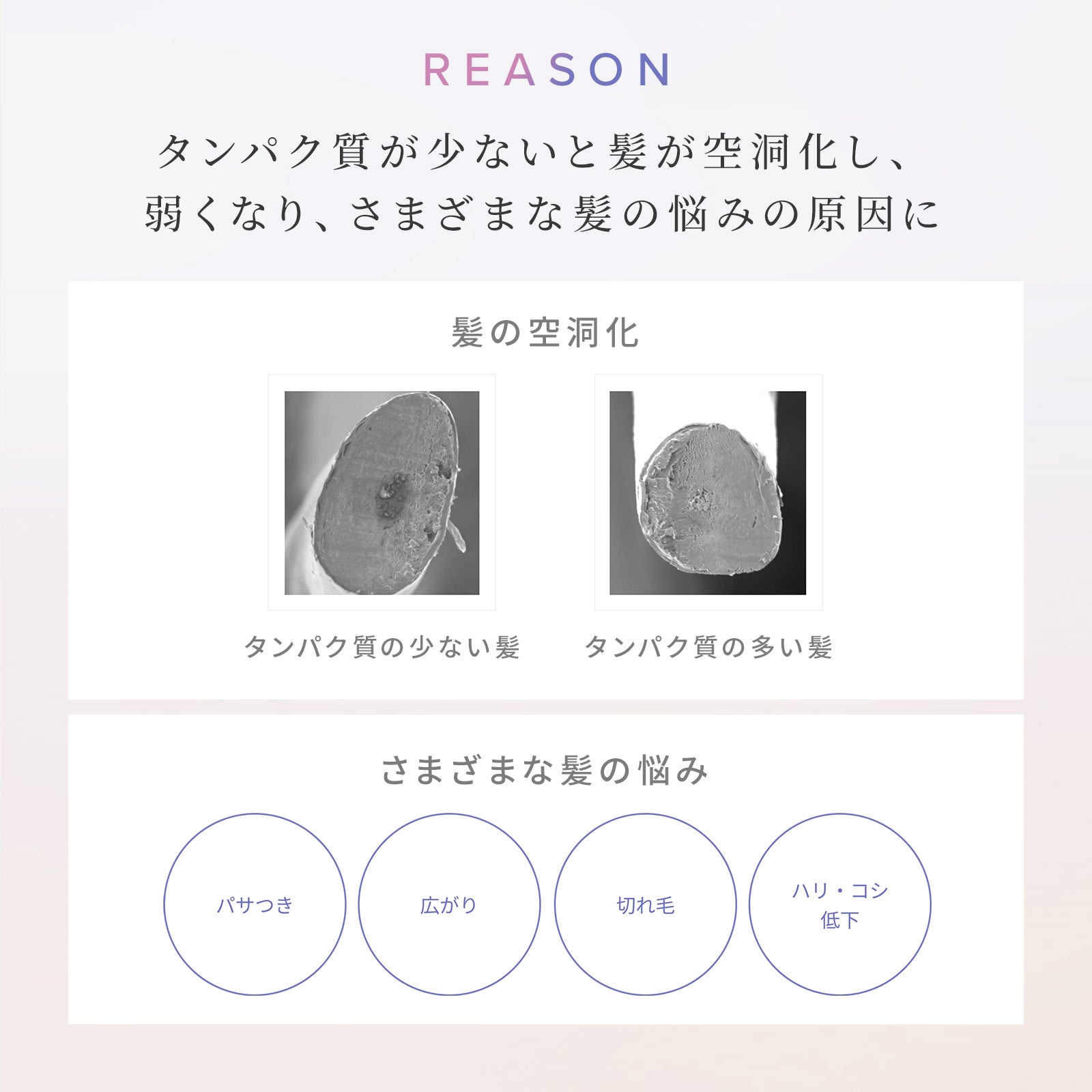 ReFa 毛躁捲曲專用 牛奶蛋白PINK系列 洗頭水／護髮素 Milk Protein PINK LINE Shampoo/Treatment 500mL / 500g