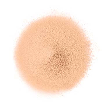 FANCL 定粧修護蜜粉（粉狀粉底）Airy Touch Foundation SPF16 PA++ 20g 21 粉調米膚色 Pink Beige