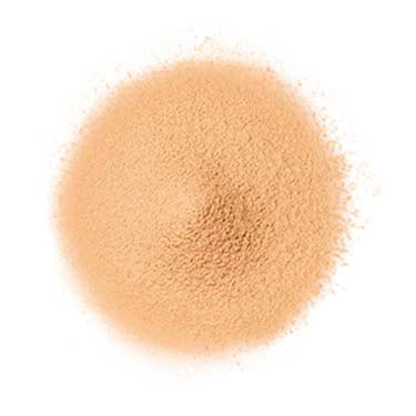 FANCL 定粧修護蜜粉（粉狀粉底）Airy Touch Foundation SPF16 PA++ 20g 22 淺色 Light