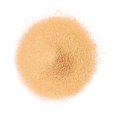 FANCL 定粧修護蜜粉（粉狀粉底）Airy Touch Foundation SPF16 PA++ 20g 23 中性色 Medium