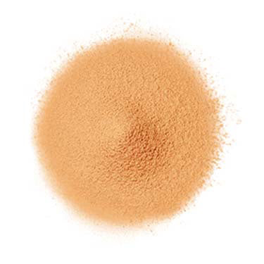 FANCL 定粧修護蜜粉（粉狀粉底）Airy Touch Foundation SPF16 PA++ 20g 24 深色 Dark