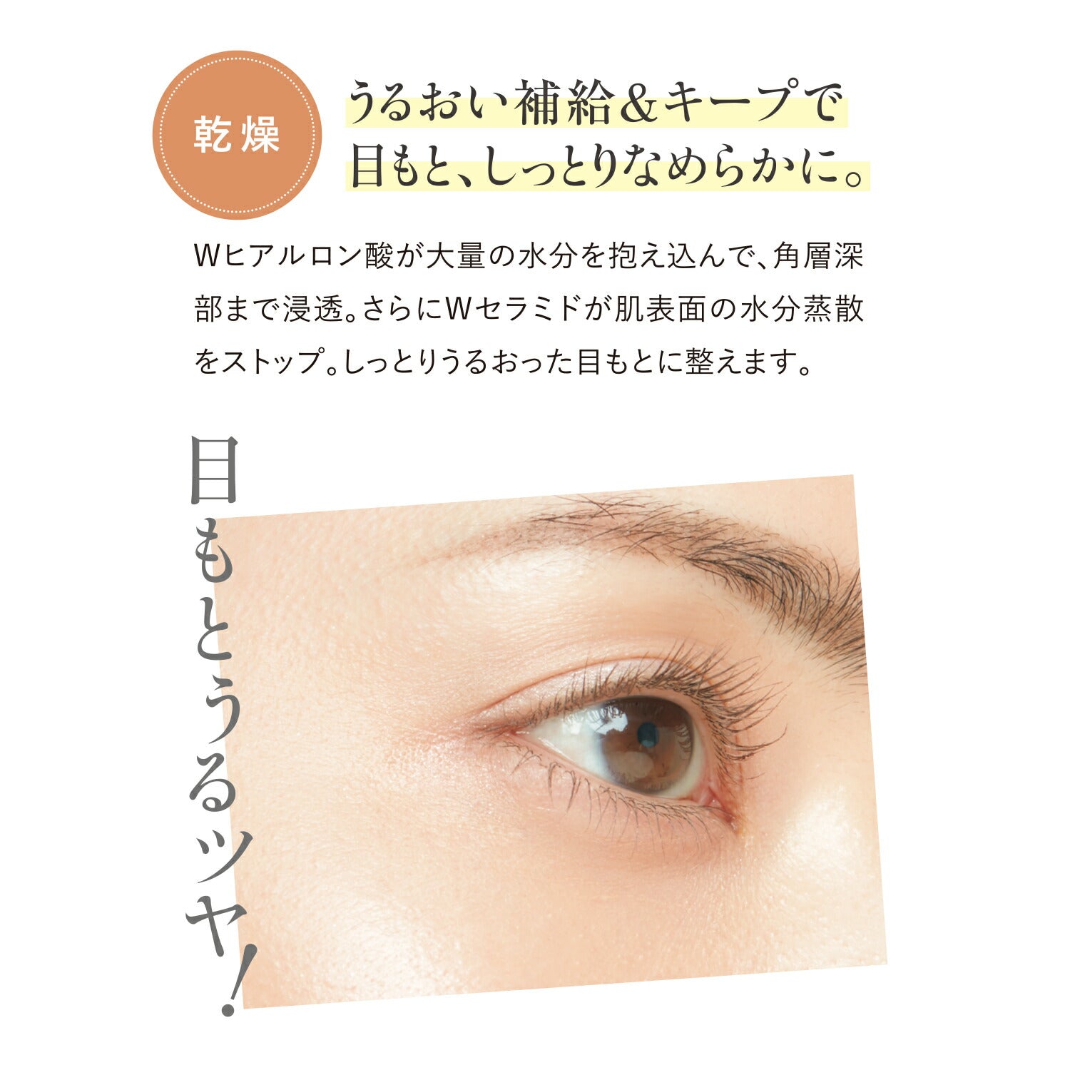 FANCL Eye Serum 8g