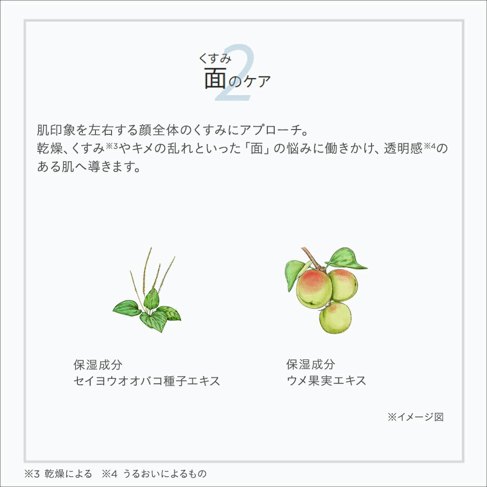 ETVOS 藥用美白抗皺乳霜 Wrinkle Whitening Clear Cream 30g