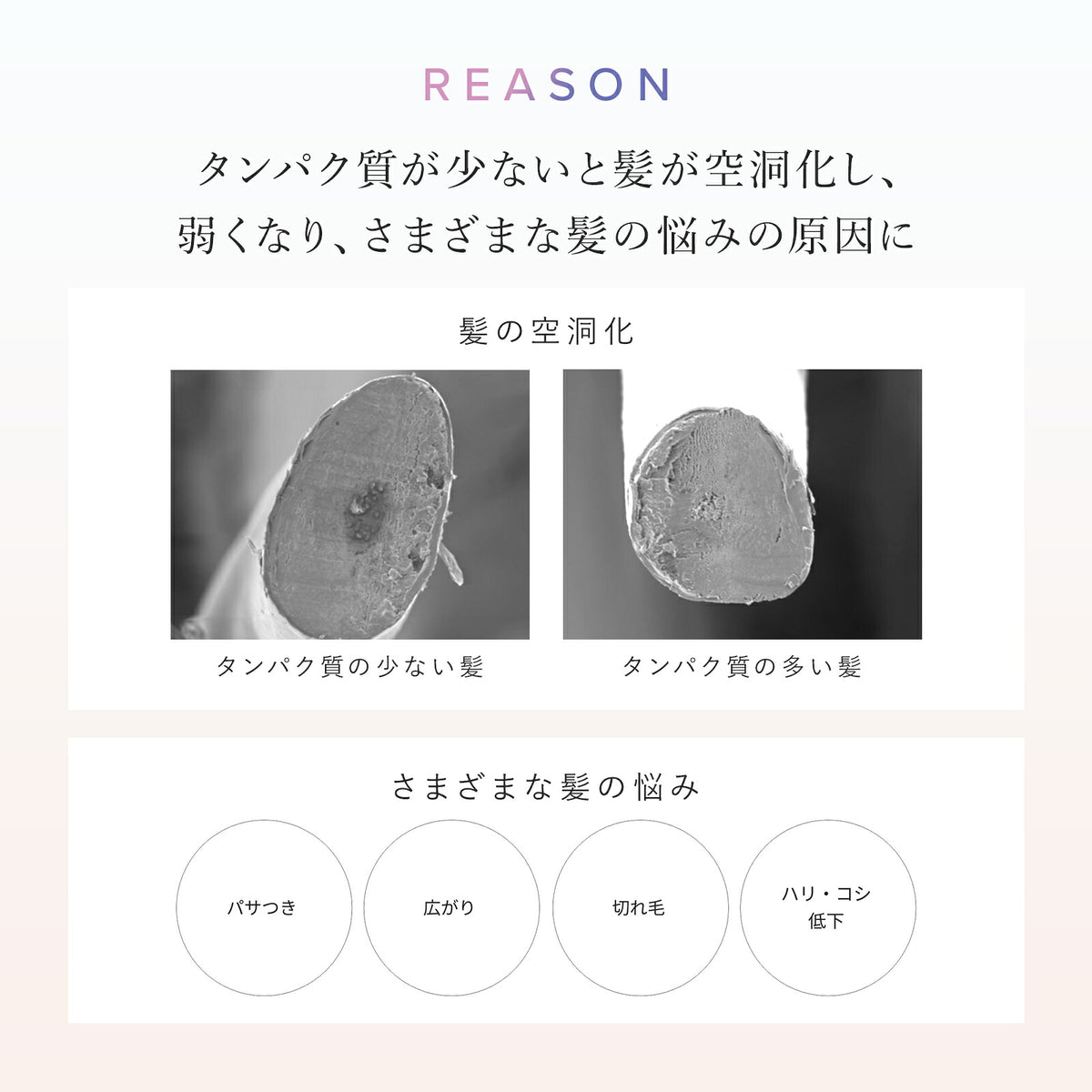 ReFa 夜間修護 牛奶蛋白洗頭水／護髮素 MILK PROTEIN SLEEP Shampoo／Treatment 500mL／500g