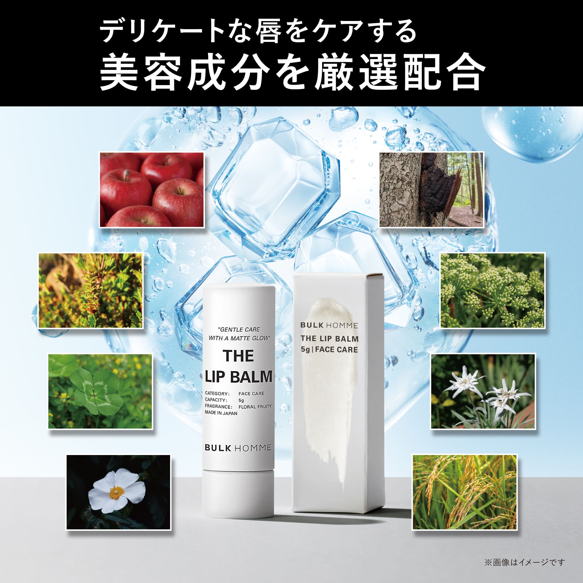 BULK HOMME 男士保濕潤唇膏 5g