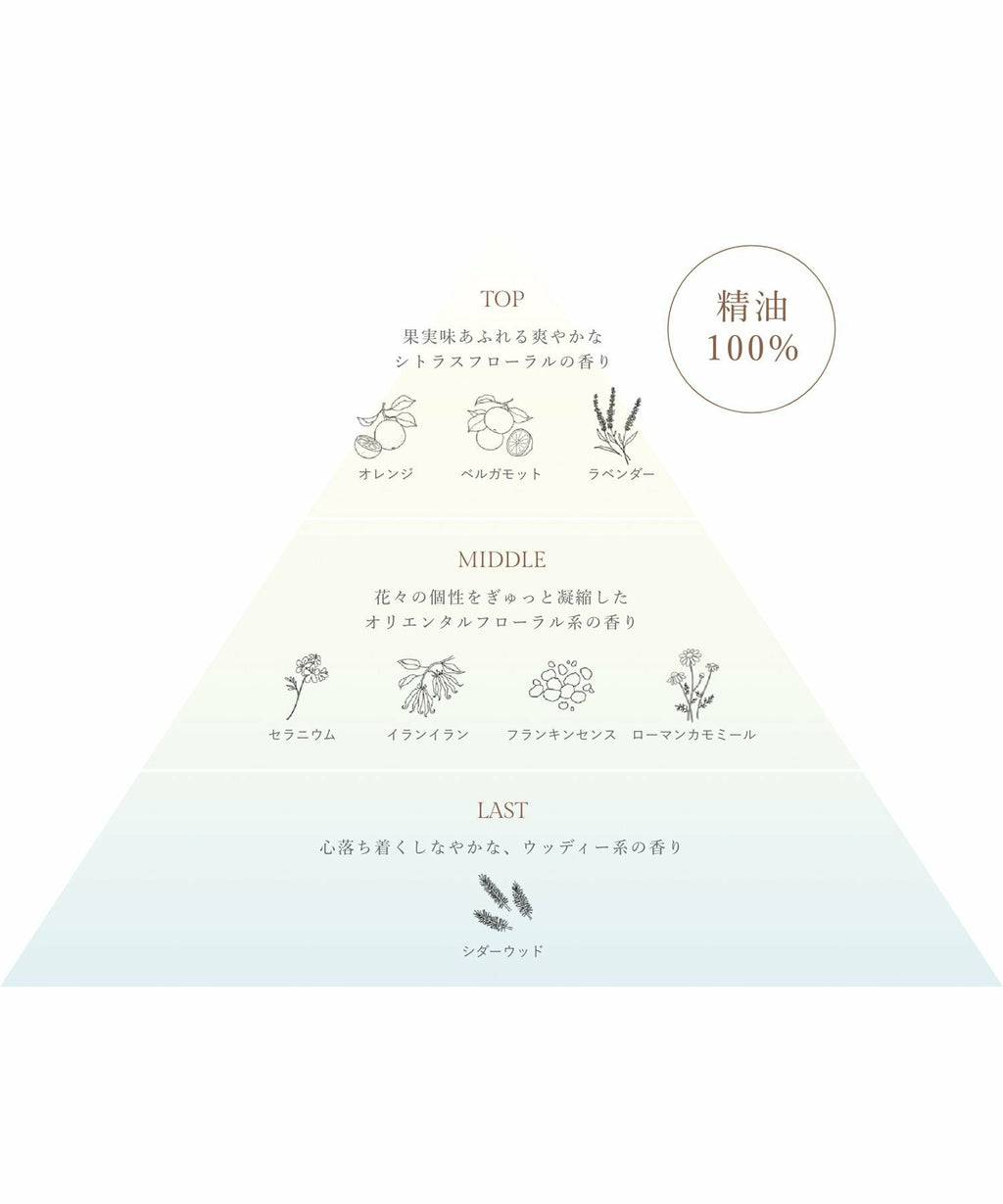 To One 保濕洗髮水 290mL