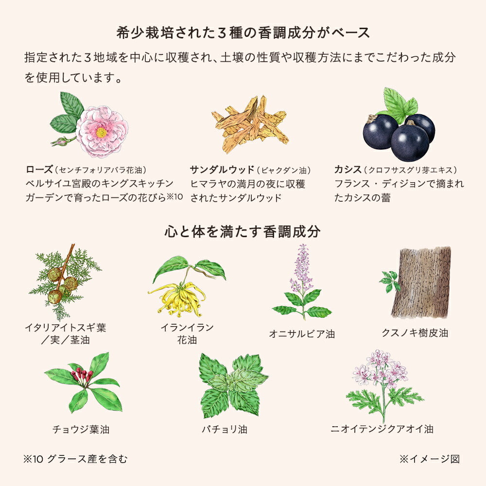 ETVOS 活力精華美容油 Vital Superior Oil 30mL