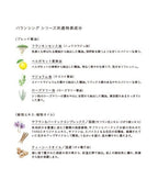 THREE 平衡花蜜系列體驗組 Balancing Nectar Skincare First Kit
