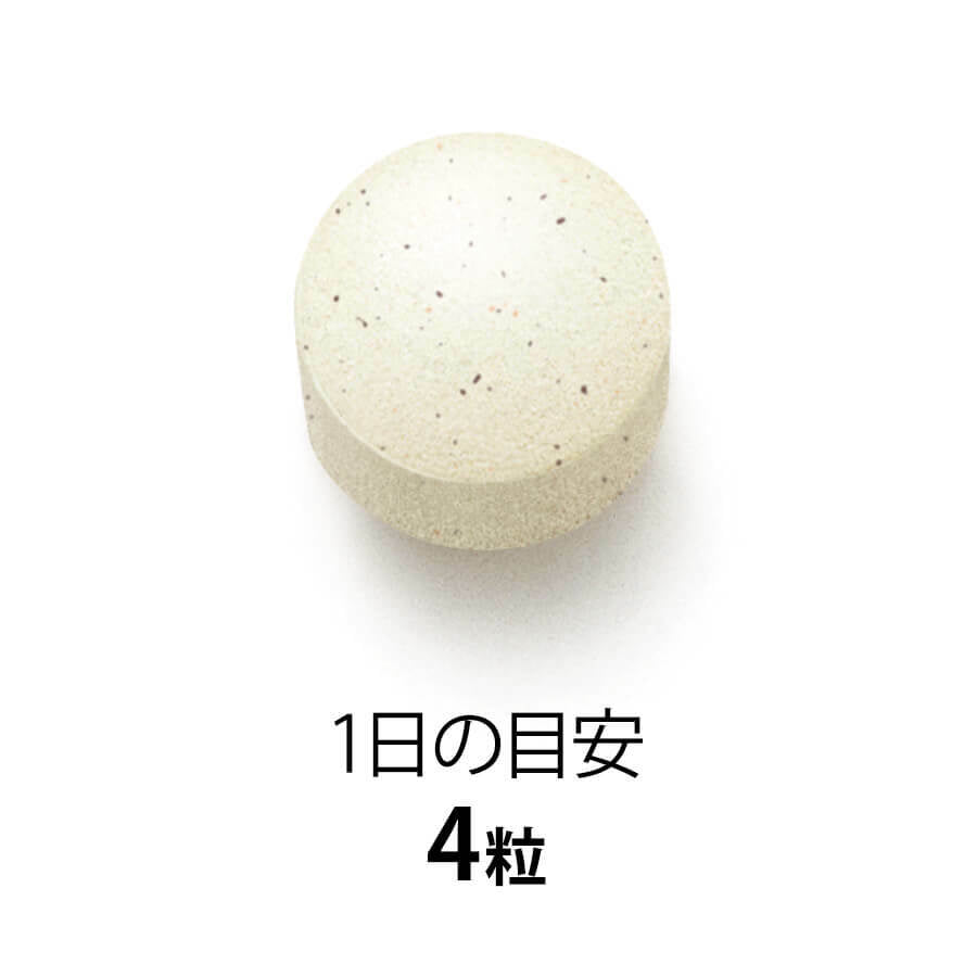 FANCL Mama Lula 葉酸及鐵補充片 30日 備孕至授乳營養