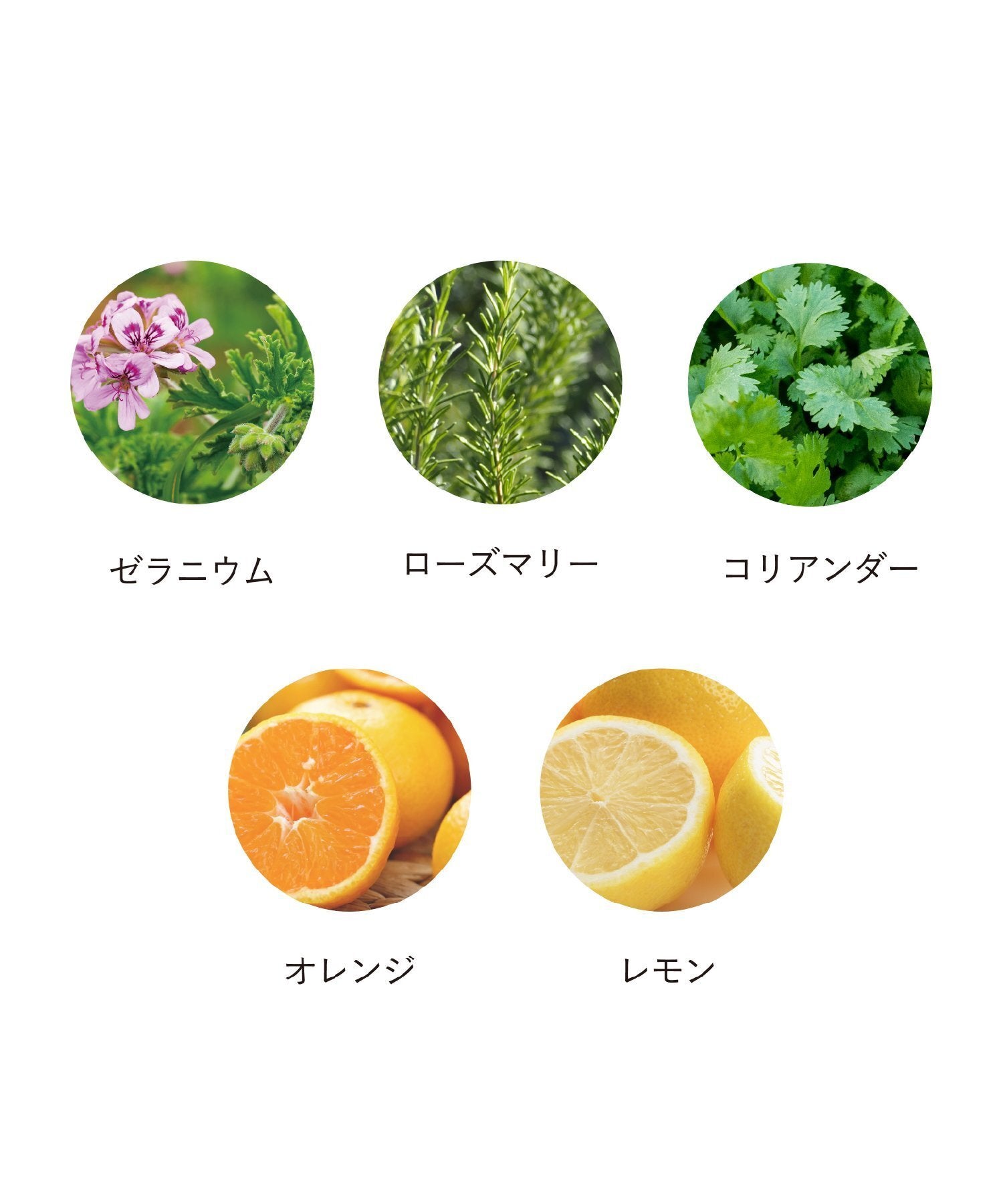 OSAJI 滋潤護髮噴霧 Hair Moist Mist 150mL
