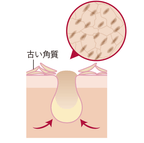 TUNEMAKERS CICA 積雪草原液 10mL 毛孔撫平