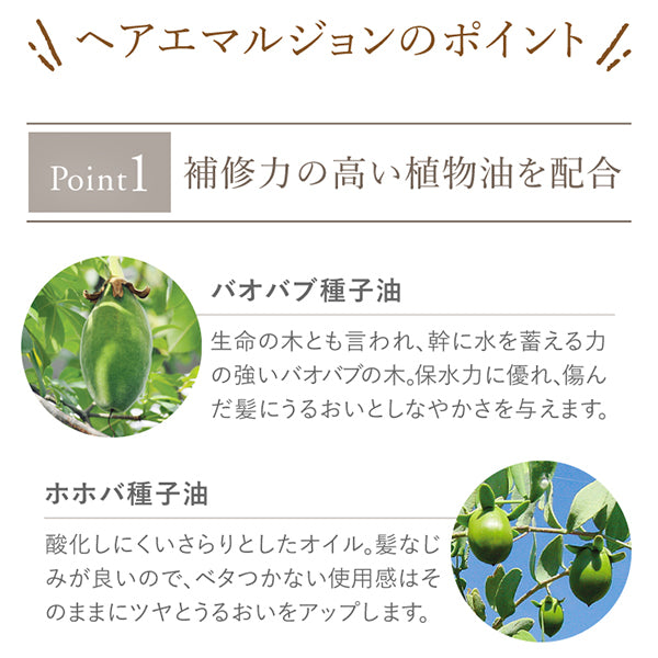 La Casta 香氛美容髮乳 Hair Emulsion