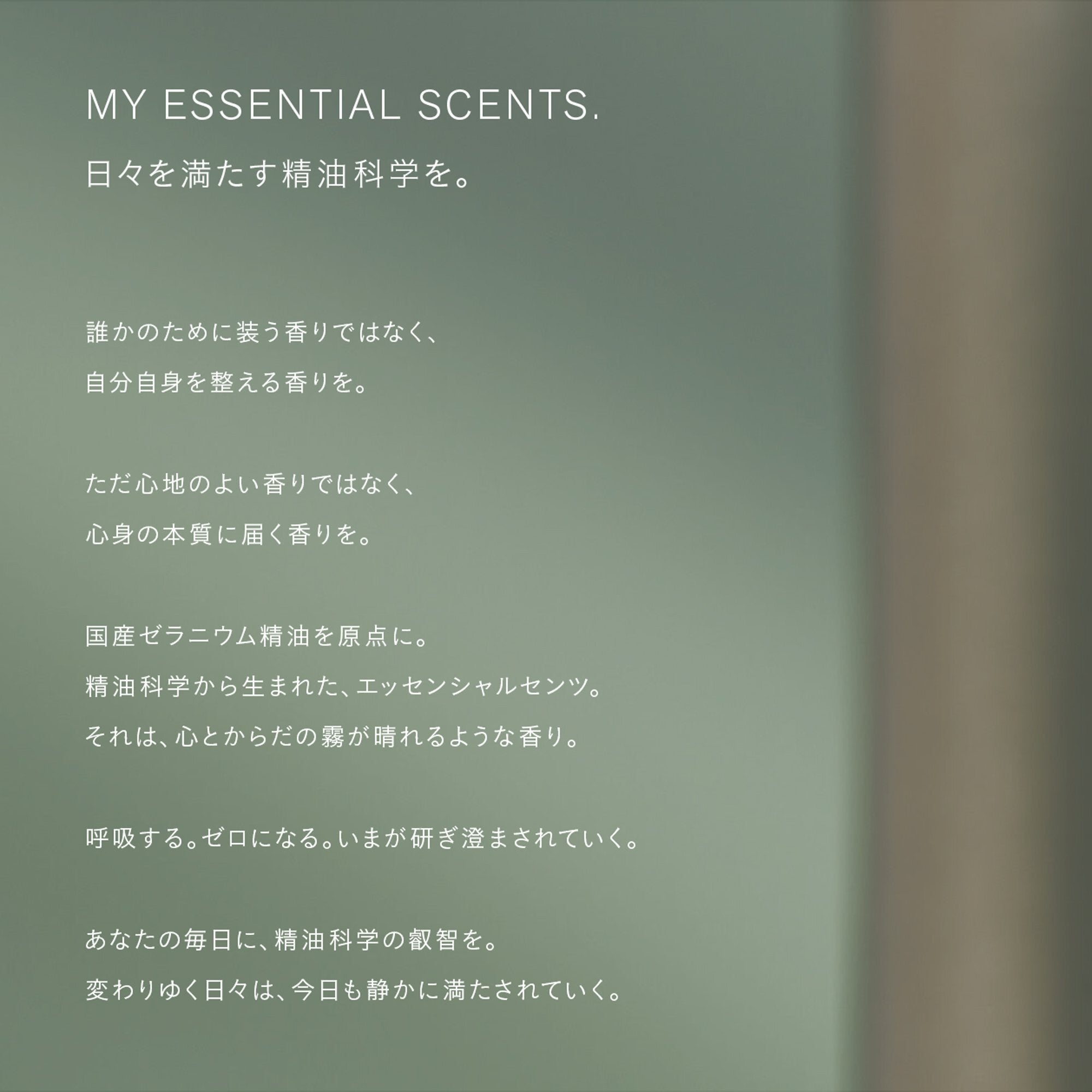 THREE 去角質香氛淨化沐浴乳 Essential Scents Purifying Body Wash 280mL