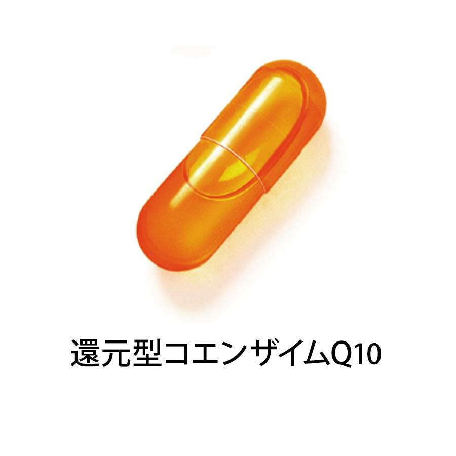 FANCL 50代 綜合營養維他命 30日