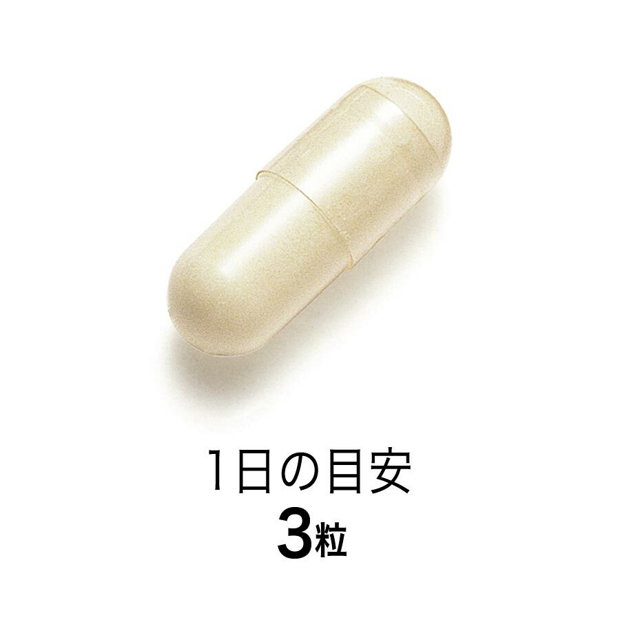 FANCL 效年男性活力片 30日