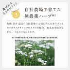 chant a charm 酵素潔面粉 34包