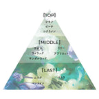 Aíam Chapter 9 香水 8mL/50mL/100mL