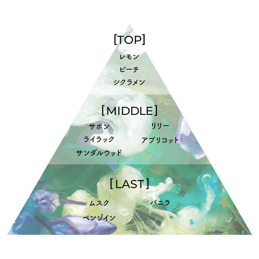 Aíam Chapter 9 香水 8mL/50mL/100mL