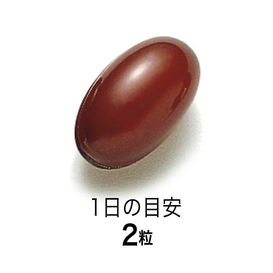 FANCL PS 大腦營養 30日