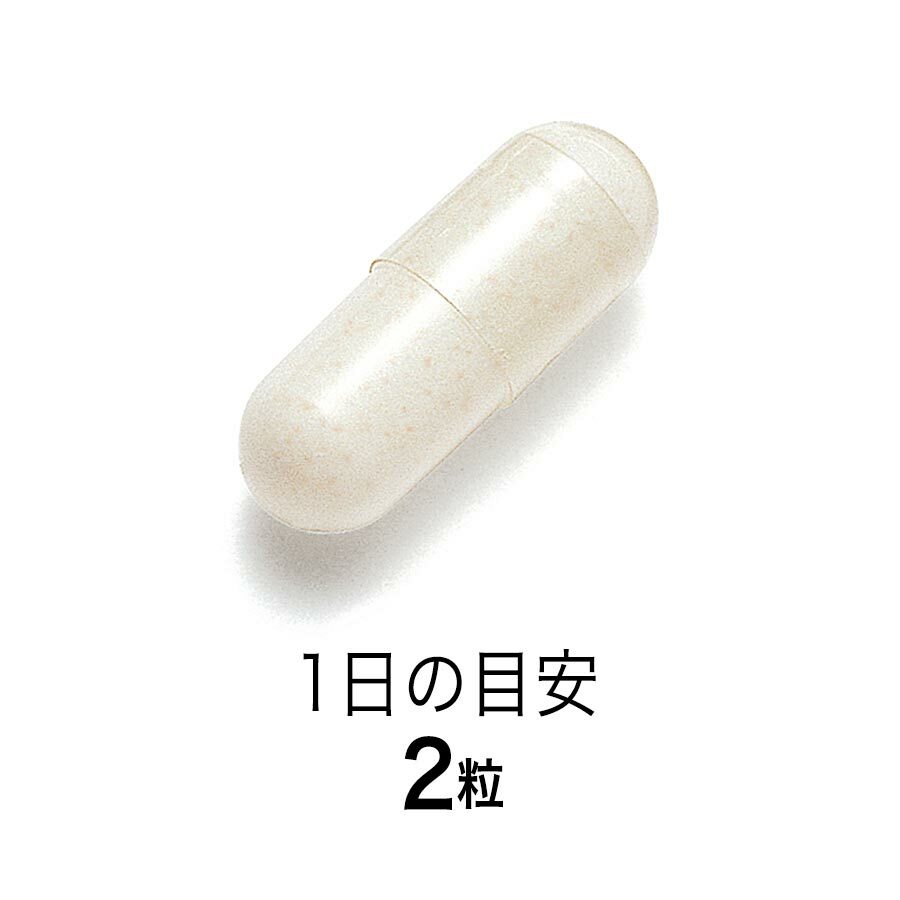 FANCL 腸活性益生菌膠囊 30日