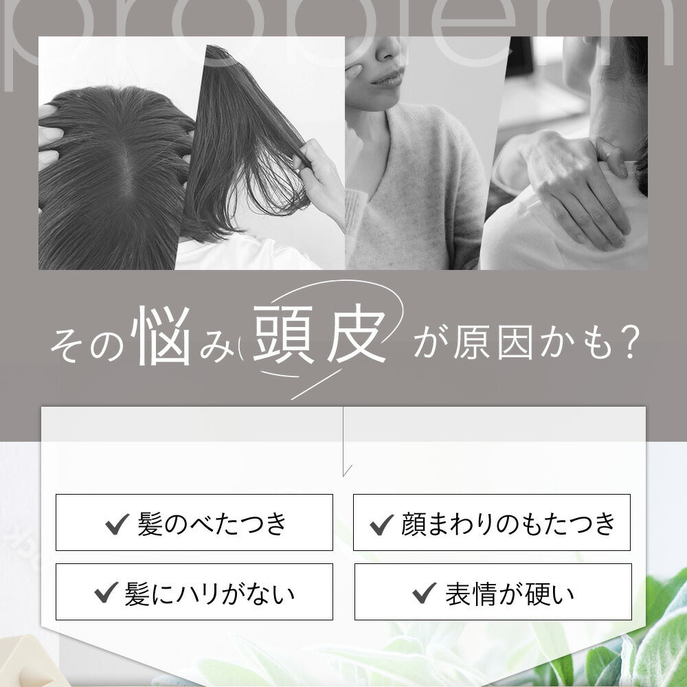 ETVOS 頭皮按摩刷 (基本/特硬款) Relaxing Massage Brush (Basic/Hard)