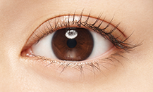 Maquillage 睫毛精華液 Eyelash Essence