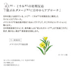 ETVOS 藥用UV 美白防曬液 SPF35 PA+++ Medicated UV Whitening Clear Serum 30ｍL