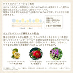 ETVOS 礦物光澤肌膚膏 8g