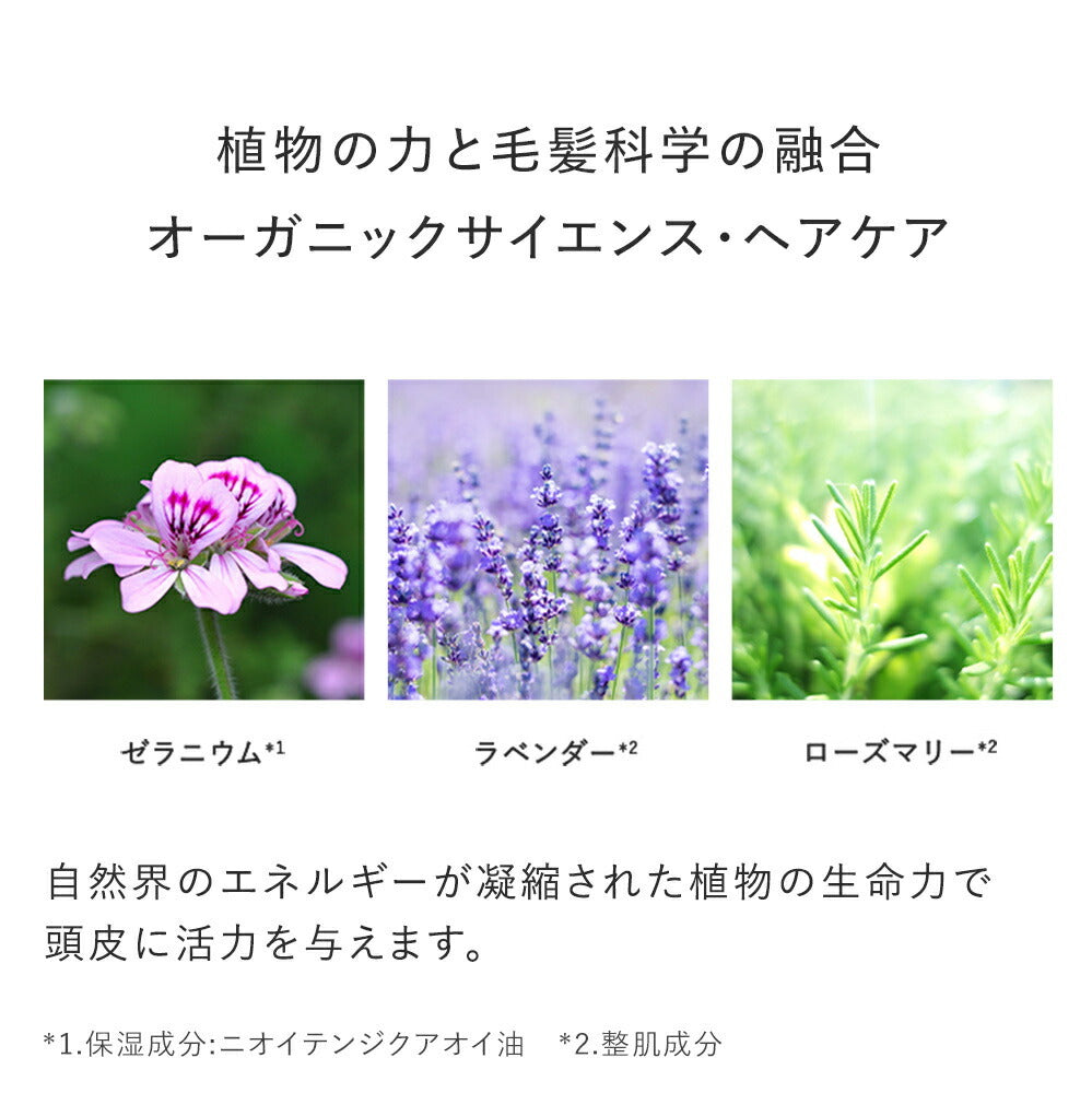 AMPLEUR 濃密泡沫洗髮精 Premium Phyto Hair Wash N 260mL