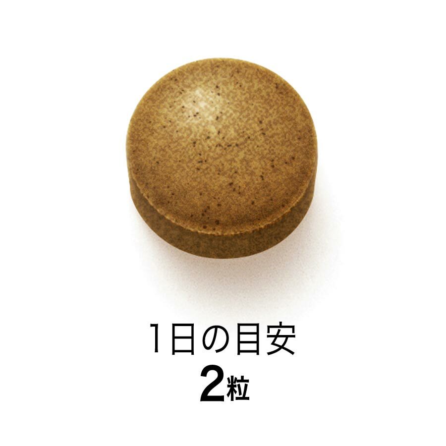 FANCL 除倦大蒜酵素 30日
