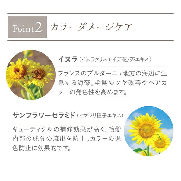La Casta 香氛美容髮乳 Hair Emulsion