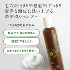 AMPLEUR 濃密泡沫洗髮精 Premium Phyto Hair Wash N 260mL