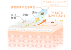Atorrege AD+ (1) 藥用潔面液 Medicated Face Wash Liquid 150mL
