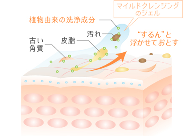 Atorrege AD+ (1) 藥用潔面液 Medicated Face Wash Liquid 150mL