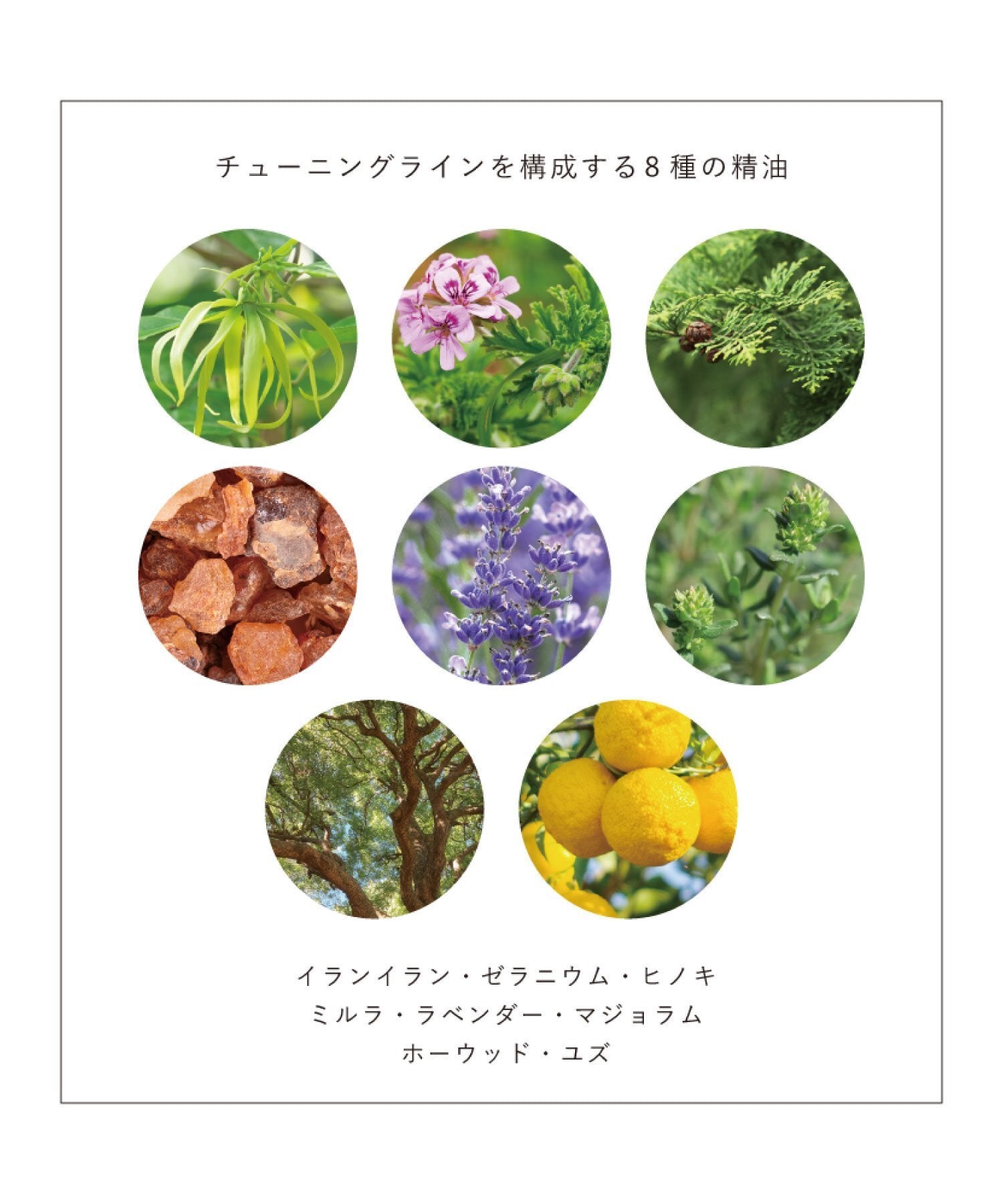 OSAJI 調理潔面乳 Tuning Cleansing Milk 150g