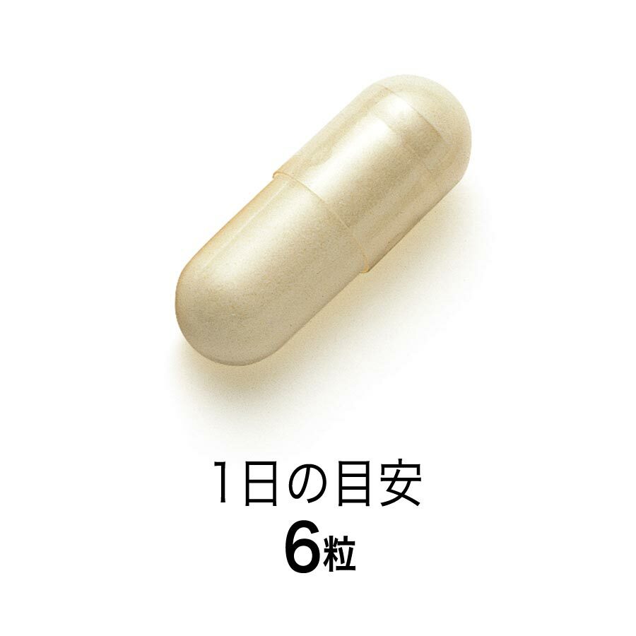 FANCL 蜂王漿膠囊 30日