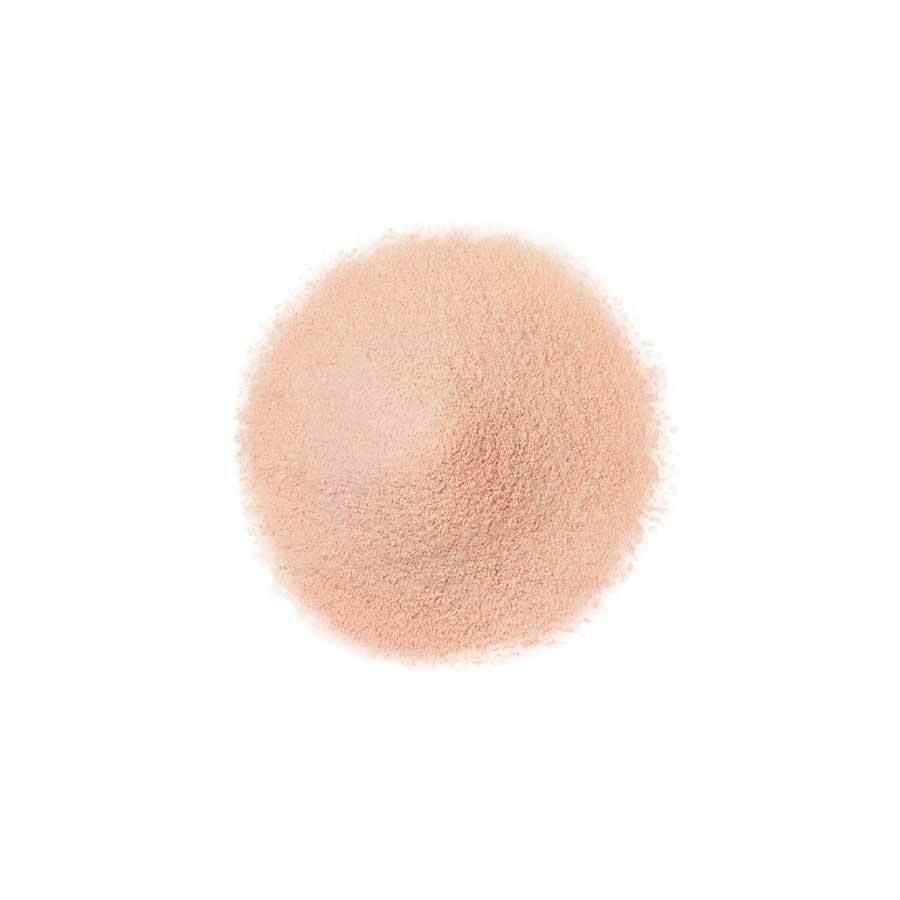 FANCL Finishing Powder 晶瑩珍珠蜜粉 補充裝