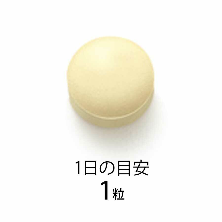 FANCL 激活抗病免疫 Plasma 乳酸菌 粒狀 30日