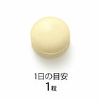 FANCL 激活抗病免疫 Plasma 乳酸菌 粒狀 30日