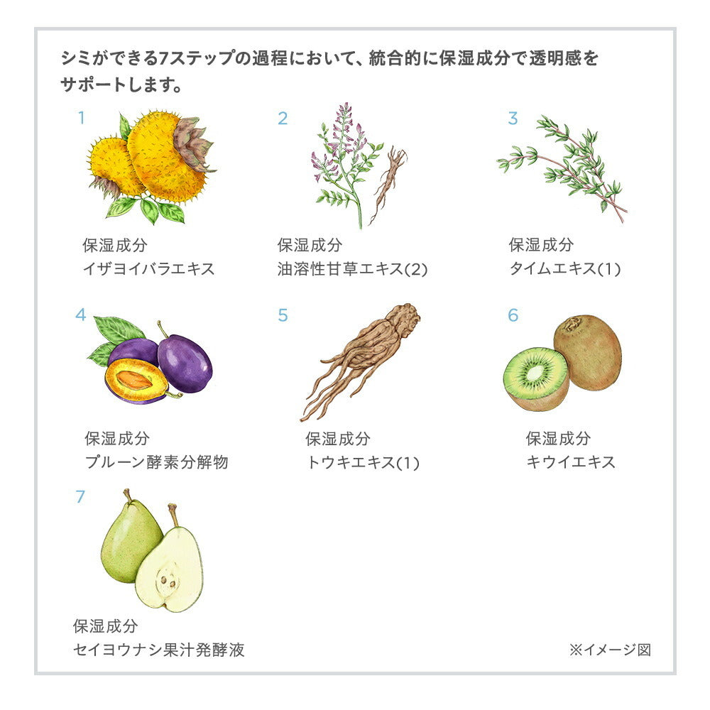 ETVOS 亮白透亮系列初體驗套裝 Brightening Clear Line First Kit